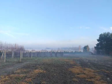 Zdjęcie 16